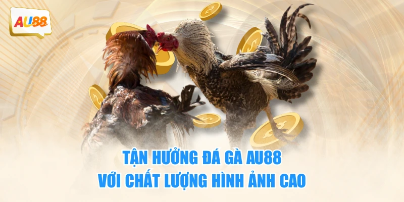 Tận hưởng đá gà AU88 với chất lượng hình ảnh cao