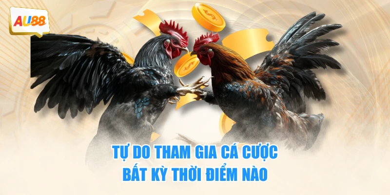 Tự do tham gia cá cược bất kỳ thời điểm nào